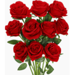 RoseBrosYT