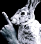 Spring Enterprises Group Thumbnail