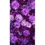 PURPLE GROUPS
