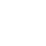 Bloxgen Software