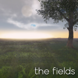 the fields