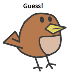 Guess the draw! (Old and copied)