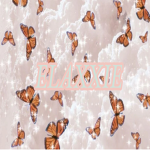######### beautiful butterflys