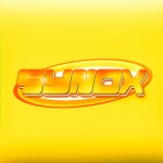 synox Group Thumbnail