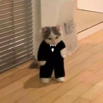 franpaoozi