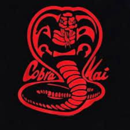 Revamped Cobra Kai Dojo