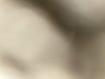 Jrapiggy