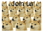 Only_Doge