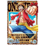 The one piece...