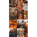 Fallcuteclothes