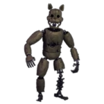 The Cat