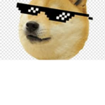 Doges United Republic