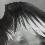 #Feather