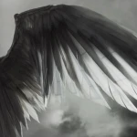 #Feather Group Thumbnail