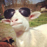 Goat's Clothing Center
