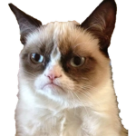 Grumpy Cat 4 Life