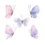 Summer’s Butterfly’s