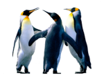 HUNTER's friend group