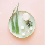 aloe<3