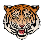 Tiger Scratch Productions