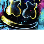 Marshmello amazing fan group