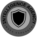 Southview Intelligence Agency