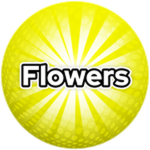 Flowers!