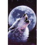 Wolfs squad pack