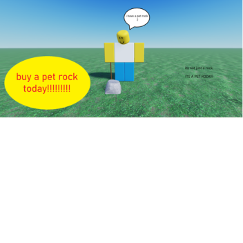 have a pet rock