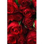 #Roses are red#