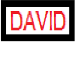 davidexe squad