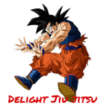 delight jiu jitsu
