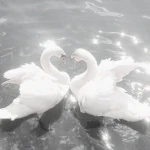 ~ ANGELIC$ ~ Group Thumbnail