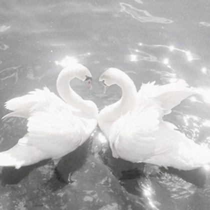 ~ ANGELIC$ ~ Roblox group icon