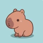 DA CAPYBARA COMMUNITY