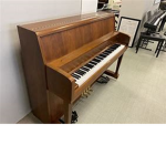 PIANO CULT (thunder scientific)