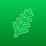 ⸙_Clean