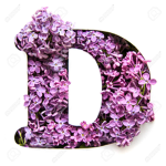 dilciaslay2009