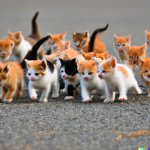 Kitten group is a arm of kittens.