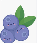 Bluey blueberry’s @“