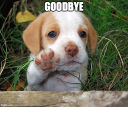Sad dog story (emotional)