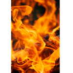 Fire Clan join please