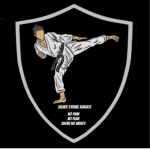 Silver Strike karate