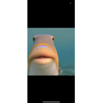 LIL FISHYS
