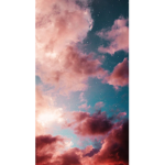 - C L O U D STORE
