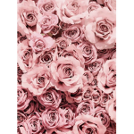 Bright rose