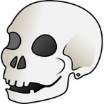 MEGA SKELETON STUDIO