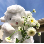 ๑lamb2k๑