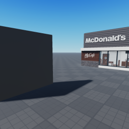 THE SHADOW DONALDS