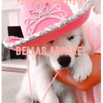 Bellas Apparel!